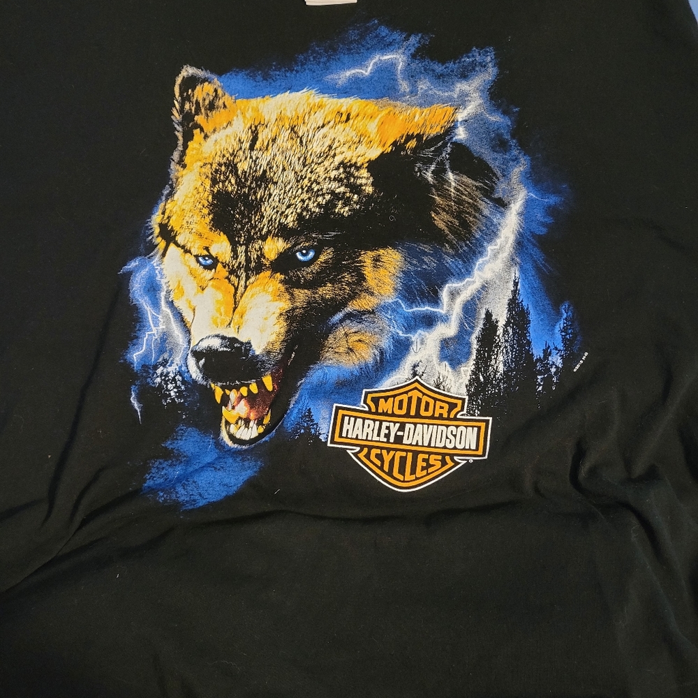 Harley Davidson tee with Beautiful graphics on front and back